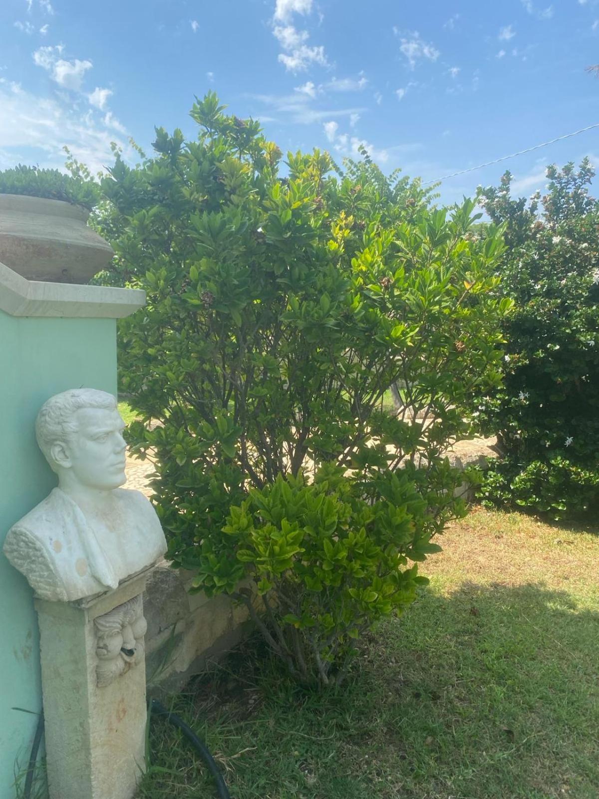 Verde Mare Isola Carrozziere Fonte Ciane Dış mekan fotoğraf