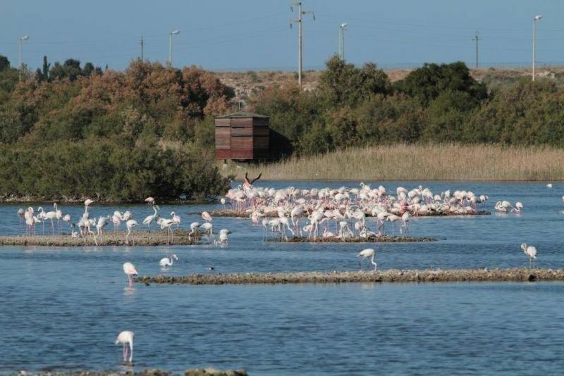 Verde Mare Isola Carrozziere Fonte Ciane Dış mekan fotoğraf